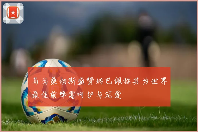 乌戈桑切斯盛赞姆巴佩称其为世界最佳前锋需呵护与宠爱